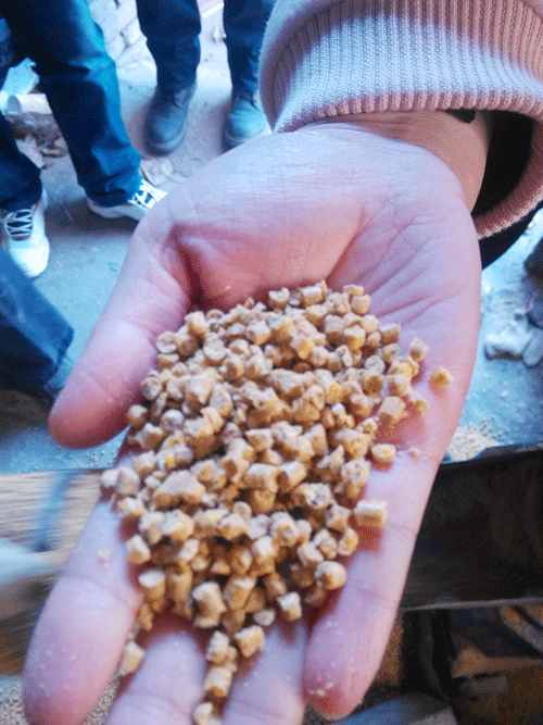 17c一起官网牌飼料顆粒機加工成家禽飼料顆粒（lì）高清圖片（piàn）