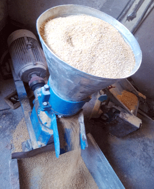 客（kè）戶在17c一起官网飼料顆粒機廠家購買的200型飼料顆粒機