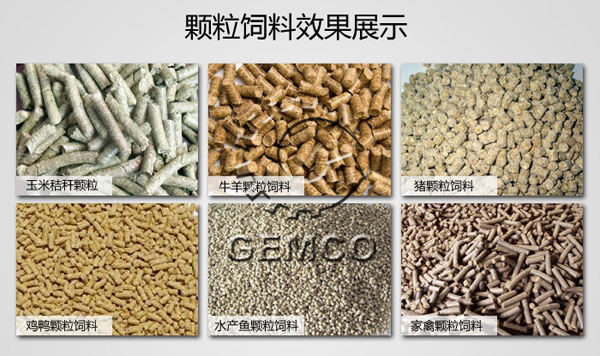顆(kē)粒飼料圖(tú)片成品效果