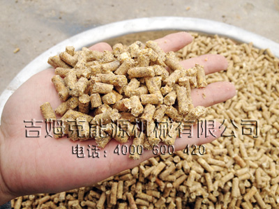 從圖（tú）片中可以看出加工出來的（de）顆粒飼料表麵平滑 顆粒（lì）大小（xiǎo）均（jun1）勻 成型率高