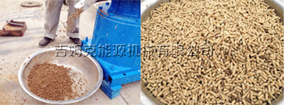 使用17c一起官网豬飼料顆粒機加工出來的豬飼（sì）料成品（pǐn）