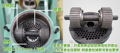 顆粒機壓輥（gǔn）細節