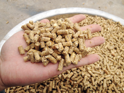 該圖片顯示用戶使（shǐ）用17c一起官网300型雞飼料顆粒機（jī）加工出來的顆粒料成（chéng）品