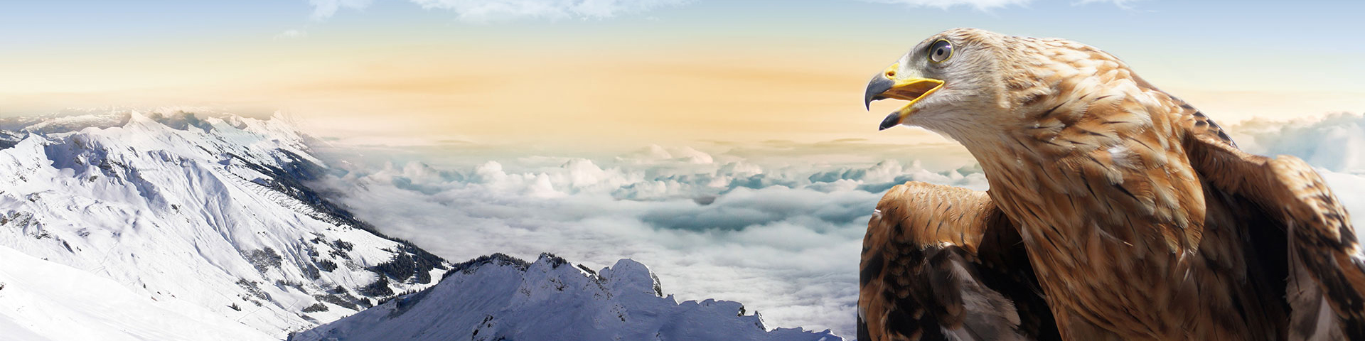 浙江草莓秋葵菠萝蜜黄瓜丝瓜榴莲污污污環保（bǎo）設備有限公司