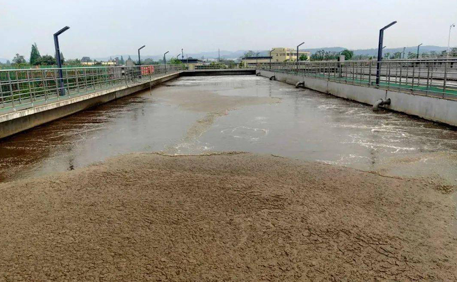 拋光廢水粉末（mò）處理（lǐ）技術：離心脫水（shuǐ）機高效回收方案