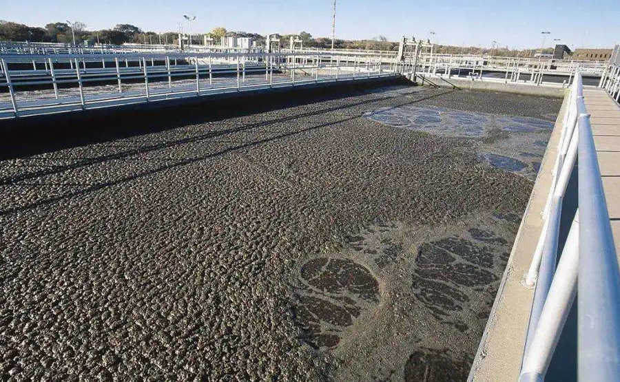 高濃度有機汙泥處理中，離心脫水機如何實現穩定（dìng）運行？