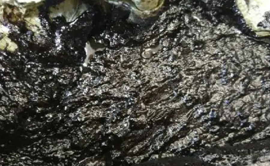 含油汙泥處理技術(圖1) undefined