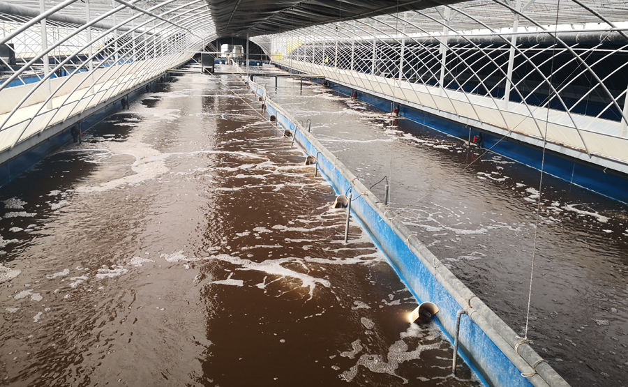 臥螺離心機在處(chù)理汙油廠中(zhōng)的汙(wū)水處理(圖2) undefined