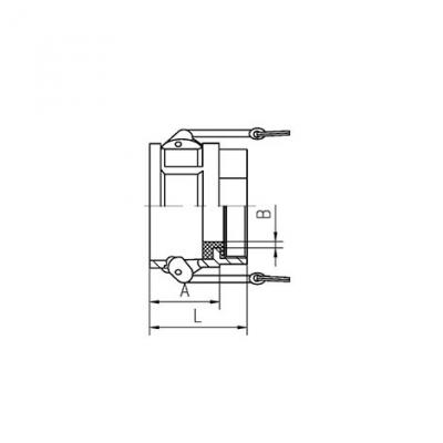 襯氟（fú）CAMLOCK-D型 PLD